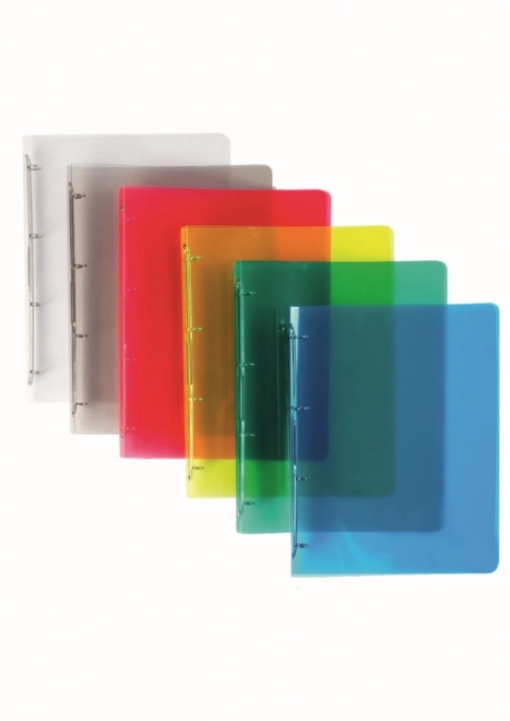 Lines Assorted Ring Binder A4