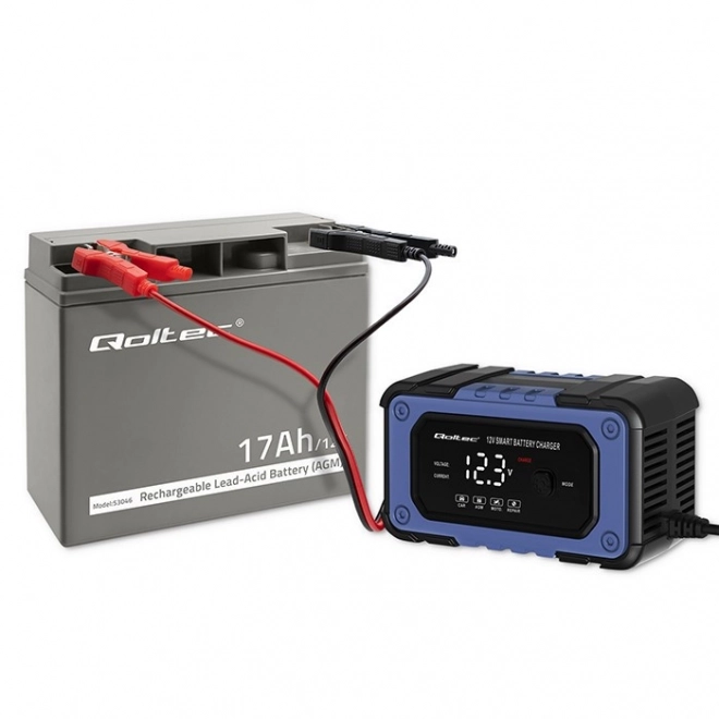Reliable AGM Battery for Everyday Power Needs