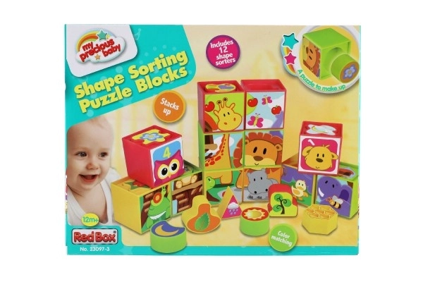 Cubes Shape Sorting Toy 12 Pieces