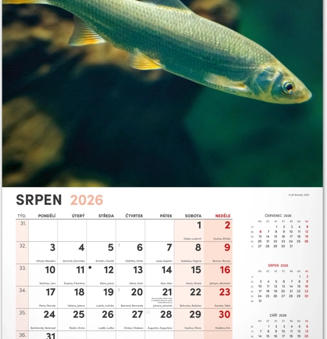Calendrier mural de pêche 2026