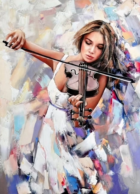 diamond painting kit violinist 30x40cm