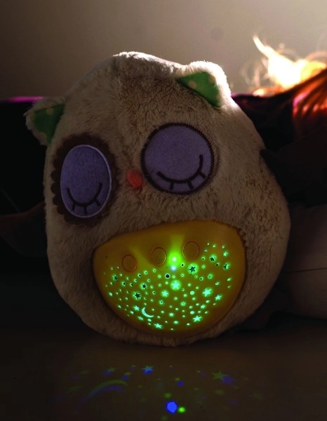 Sleepy Owl Night Light Toy