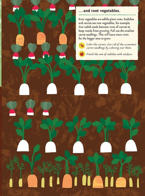 My Nature Sticker Activity Book - In the Vegetable Garden