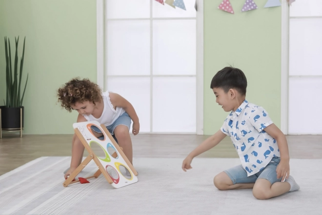 Bean Bag Toss Game