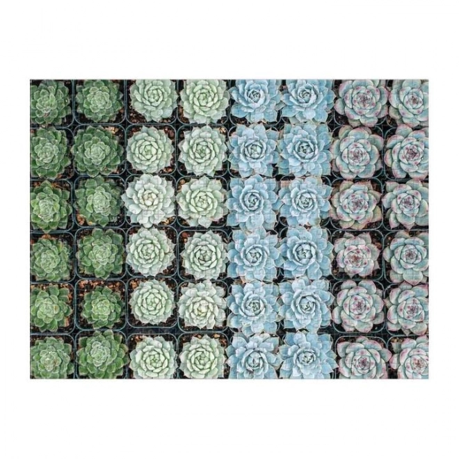 Galison Succulents Double-Sided Puzzle 500 Pieces