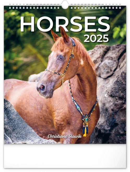 Wall Calendar Horses 2025