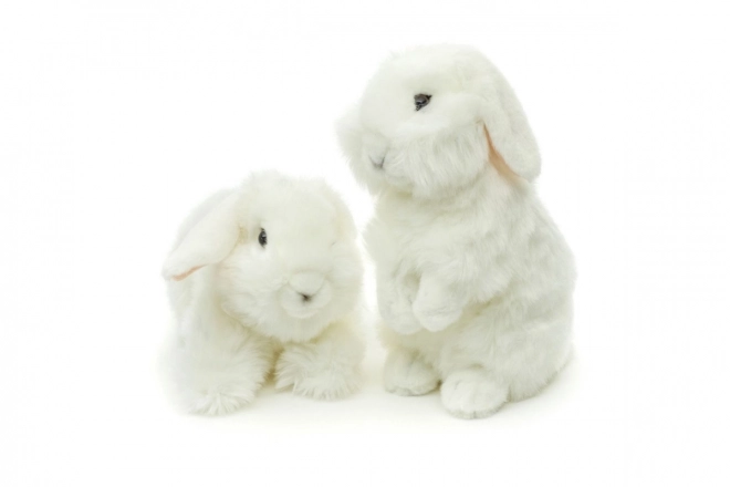 White Plush Rabbit