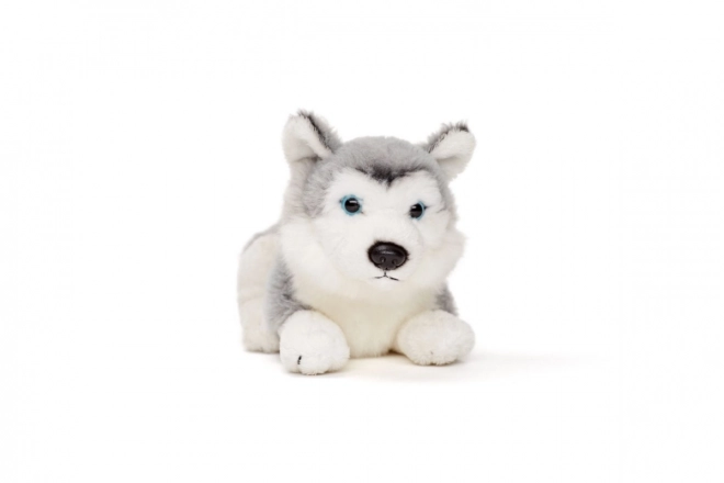 Plush Husky Toy