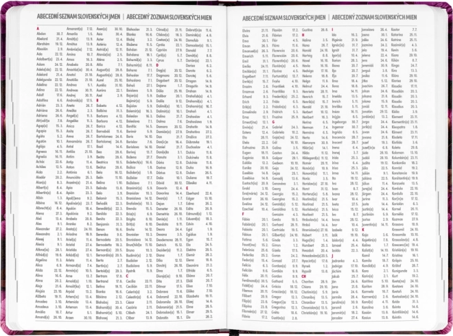 Agenda NOTIQUE 18 mois Petito – Fleurs violettes 2025/2026, 11 x 17 cm