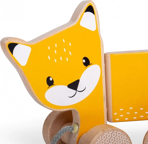 Motor skills and balance development