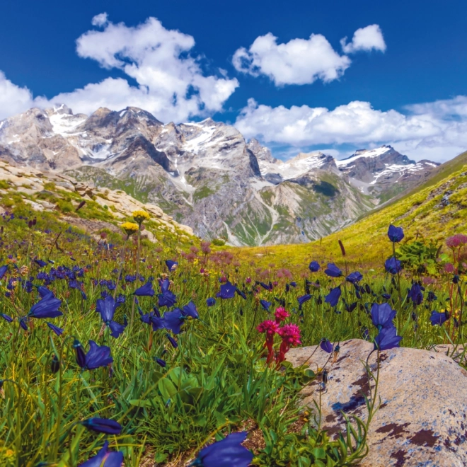 Alpine Mountains 2025 Wall Calendar