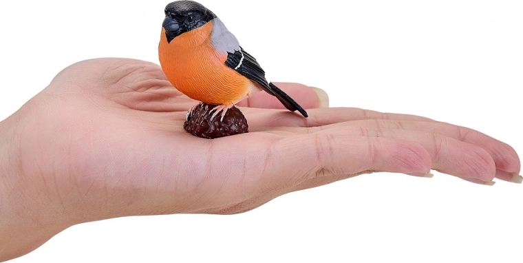 Compact size for play and learning