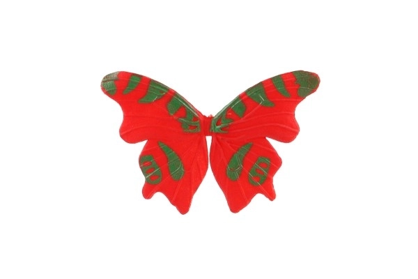 Colorful Butterfly Set for Kids