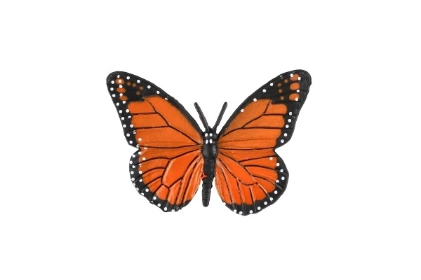 Butterfly Life Cycle Educational Set