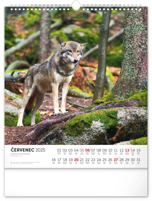 Wall Calendar Bohemian Forest 2025