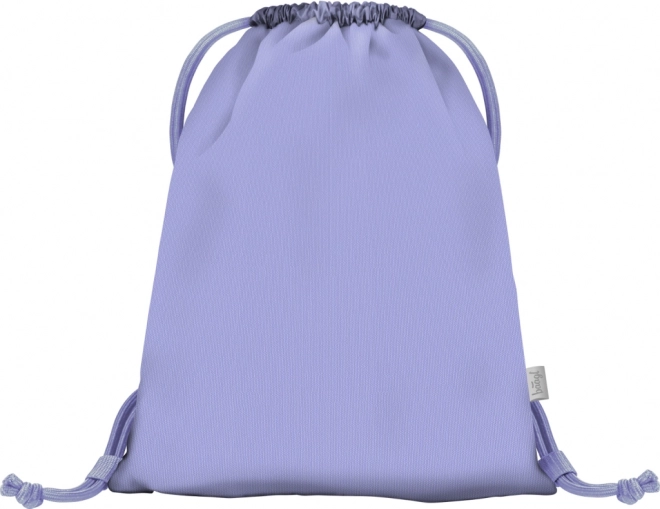 Lilac Bag for Shoes or Accessories