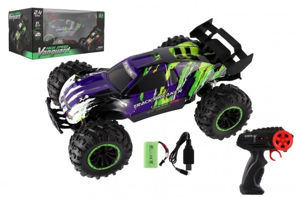 Remote Control Racing Buggy Car 40cm with Rechargeable Pack