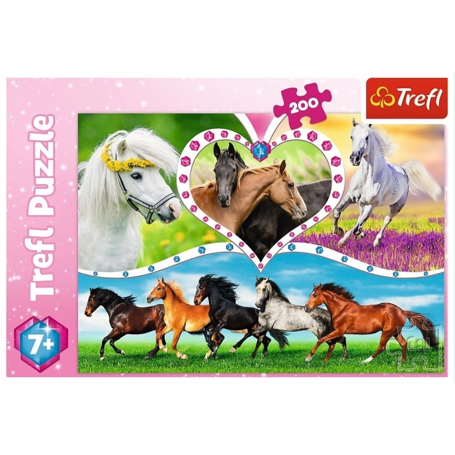 Beautiful Horses 200 Piece Puzzle