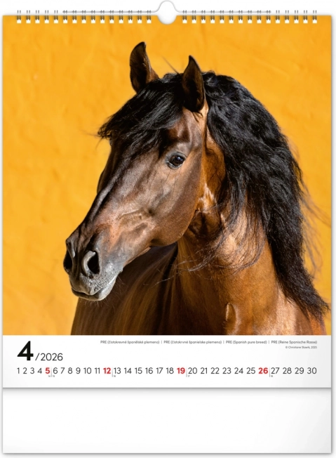 Vægkalender Heste 2026