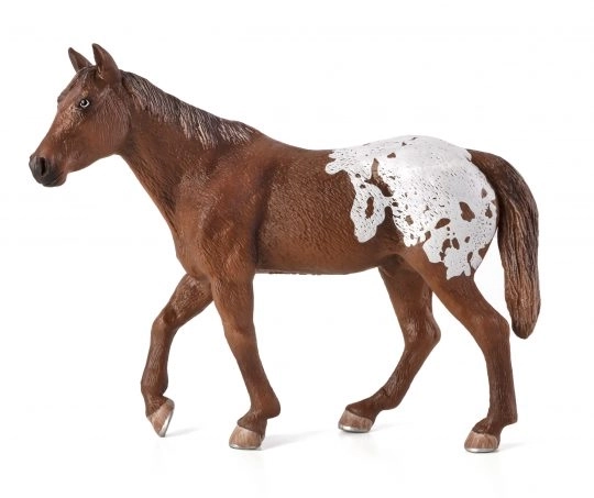 Appaloosa Stallion Blanket