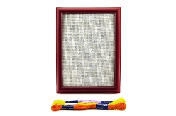 Embroidery Kit with Frame