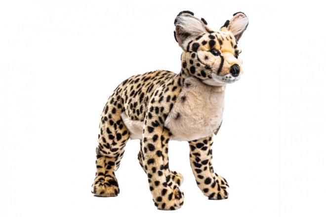 Plush Savannah Cat