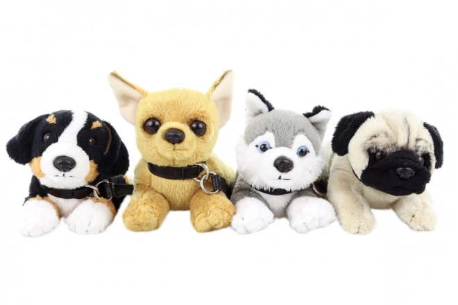 Plush Dog with Leash