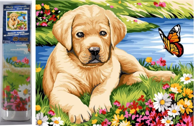 Diamond Painting Set Puppy with Butterfly 30x40cm