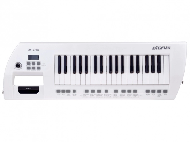 Electric Piano With Microphone Toy Instrument for Kids