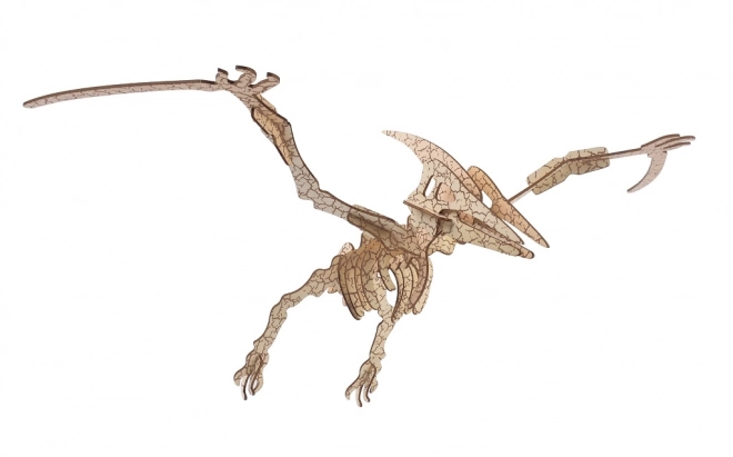 Woodcraft Wooden 3D Puzzle: Pterosaur