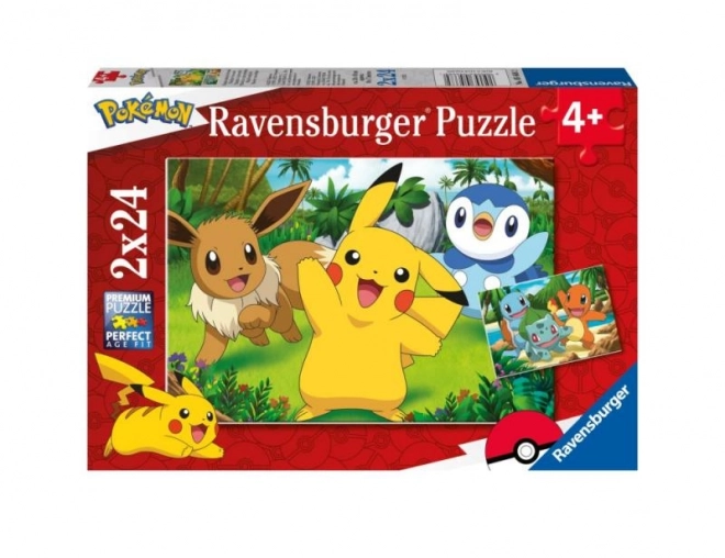 Pokémon Puzzle Set