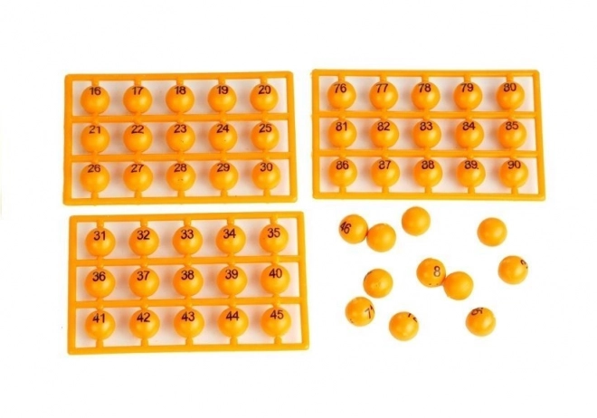 Educational Bingo Lotto Game with Lottery Machine