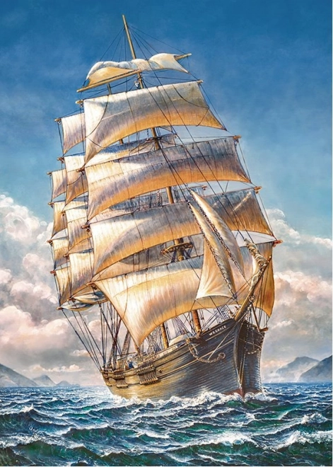 Cherry Pazzi Puzzle Sailing Ship WR Grace 1000 Pieces