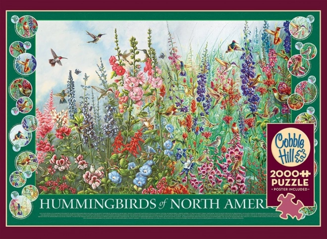 Hummingbirds of North America Puzzle 2000 Pieces