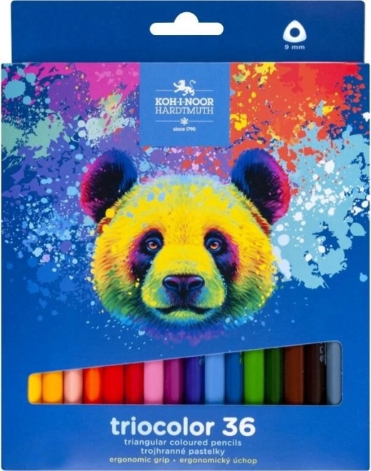 Koh-I-Noor Triangular Colored Pencils Triocolor 36 Pieces Bear