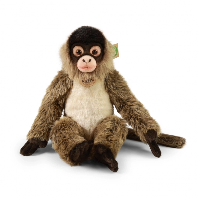 Plush Spider Monkey 30 cm Eco-Friendly