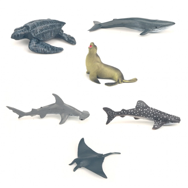 Set of Sea Animals in Box