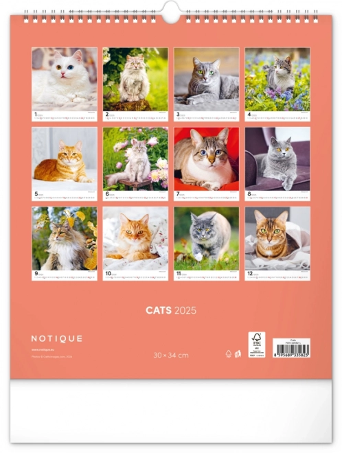 Wall Calendar Cats 2025