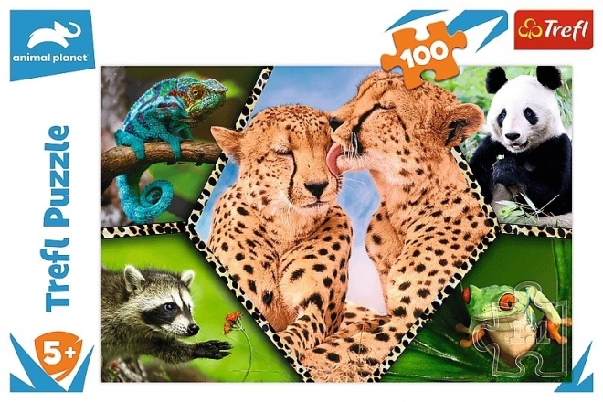 Trefl Puzzle Animal Planet: Beautiful Nature 100 Pieces