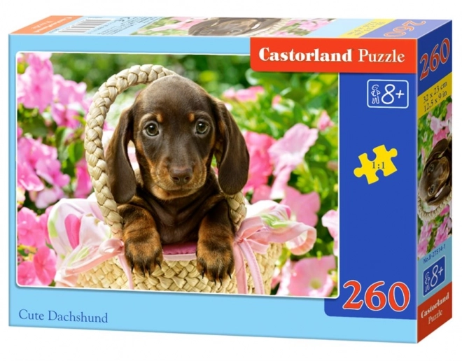 Cute Dachshund Puzzle for Kids