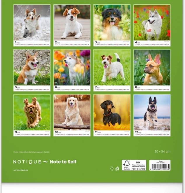 Calendario da parete Cani 2026
