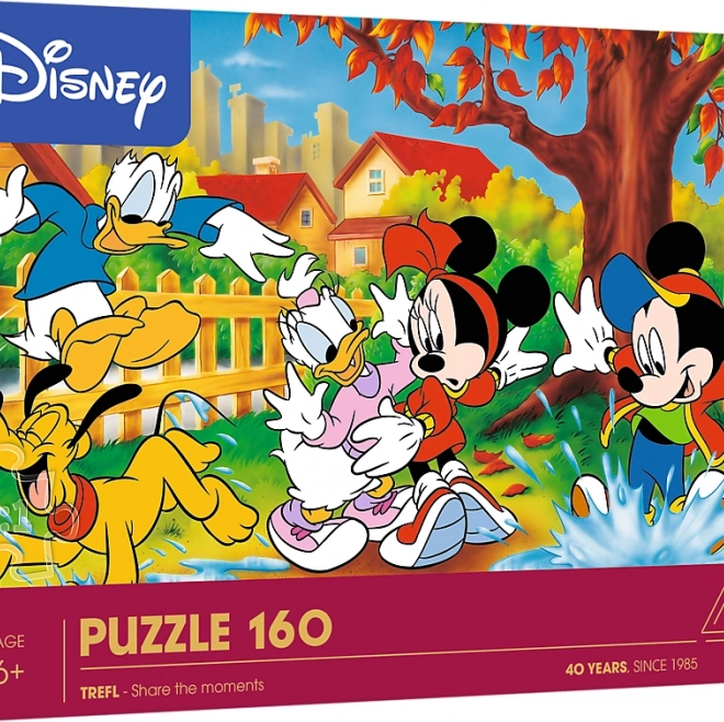 Puzzle Játék a pocsolyákban 160 darab