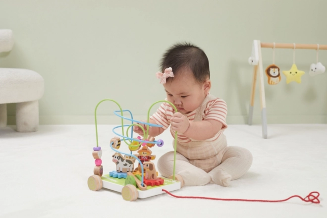 Wooden Pull-Along Maze Toy