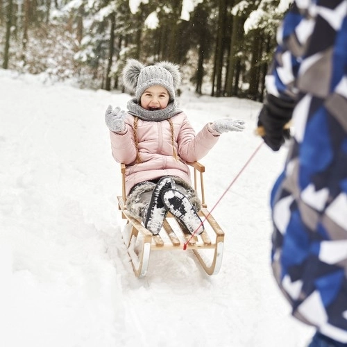 Wooden Sledge with Backrest