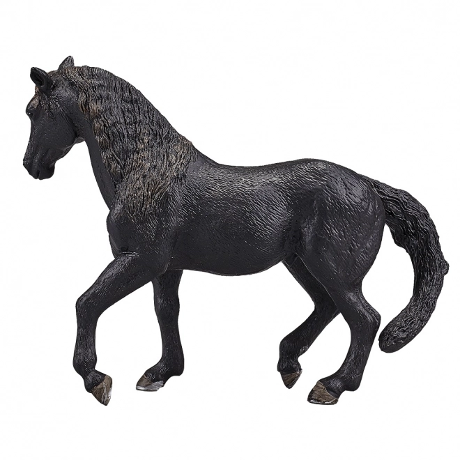 Mojo Andalusian Horse Black