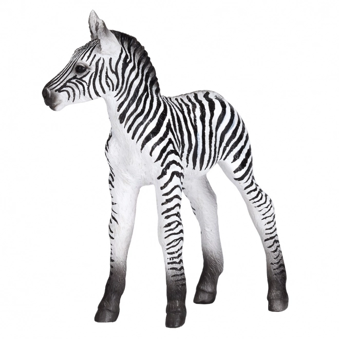 Mojo Zebra Foal