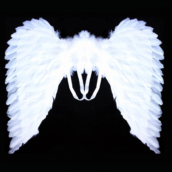 Angel Feather Wings