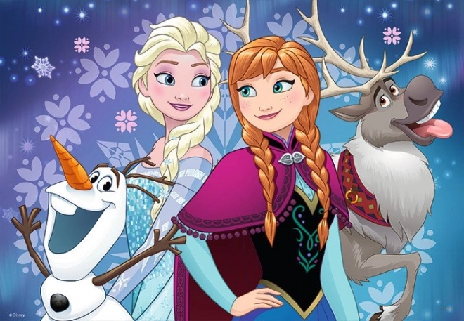 Frozen Friends Puzzle Set - 2x24 Pieces