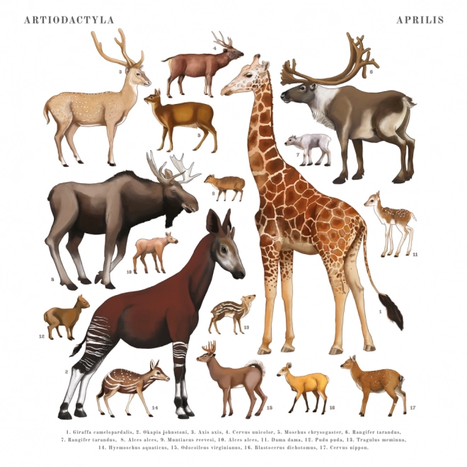 Animalium Calendar 2025