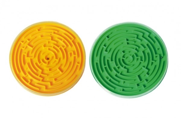 Maze Motor Skills Game